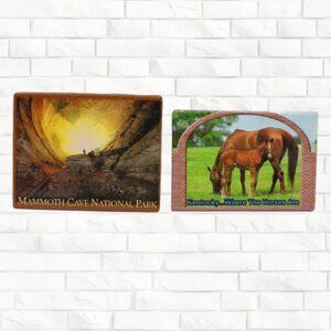 Refrigerator Magnet Mammoth Cave National Park Kentucky Souvenir Horses Booth